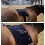 Flexible Horse Red Light Therapy Pad For Equine Recovery And Wellness