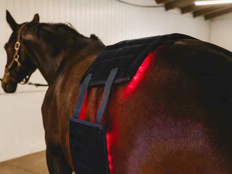 Flexible wearable therapy pad for animals