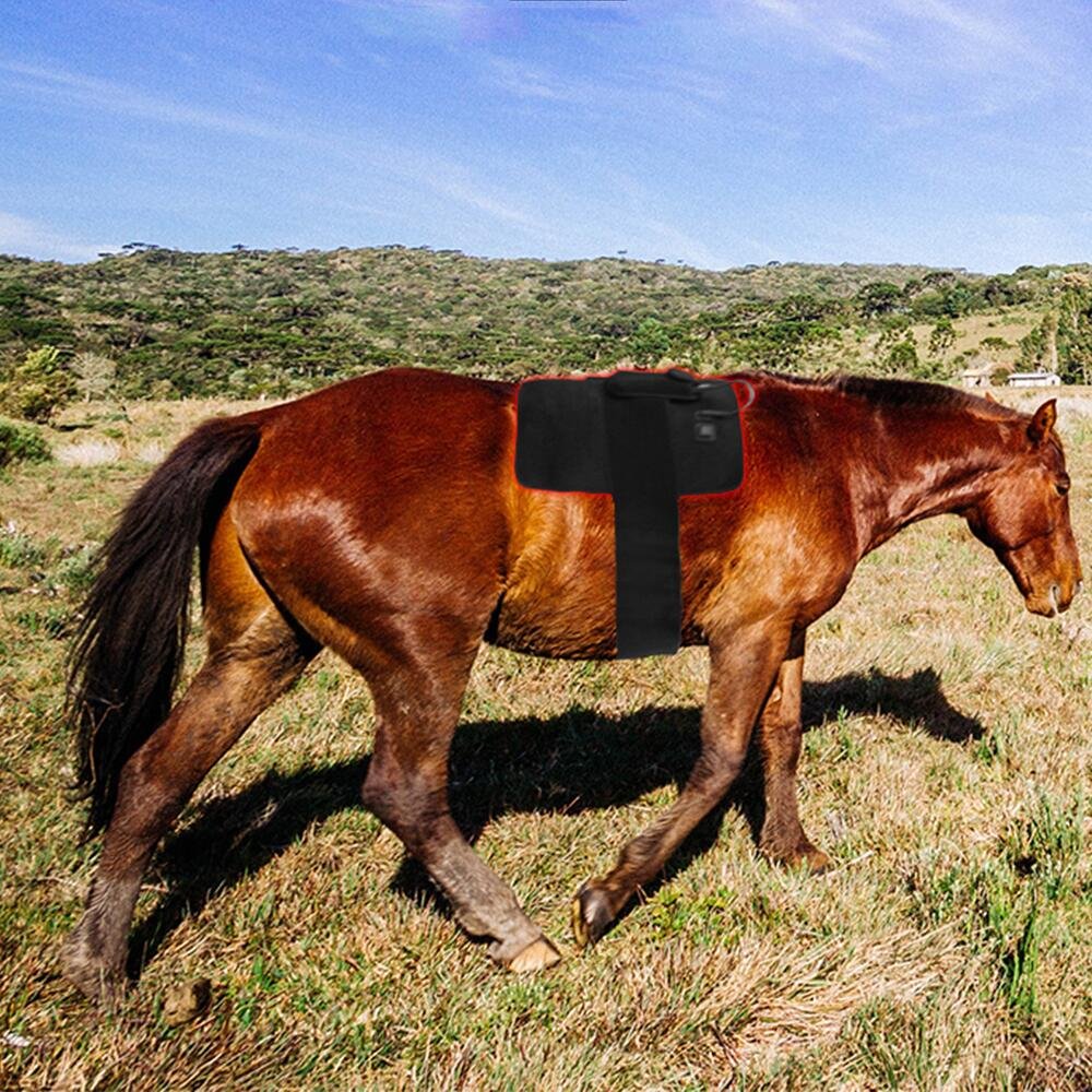Flexible Horse Red Light Therapy Pad For Equine Recovery And Wellness