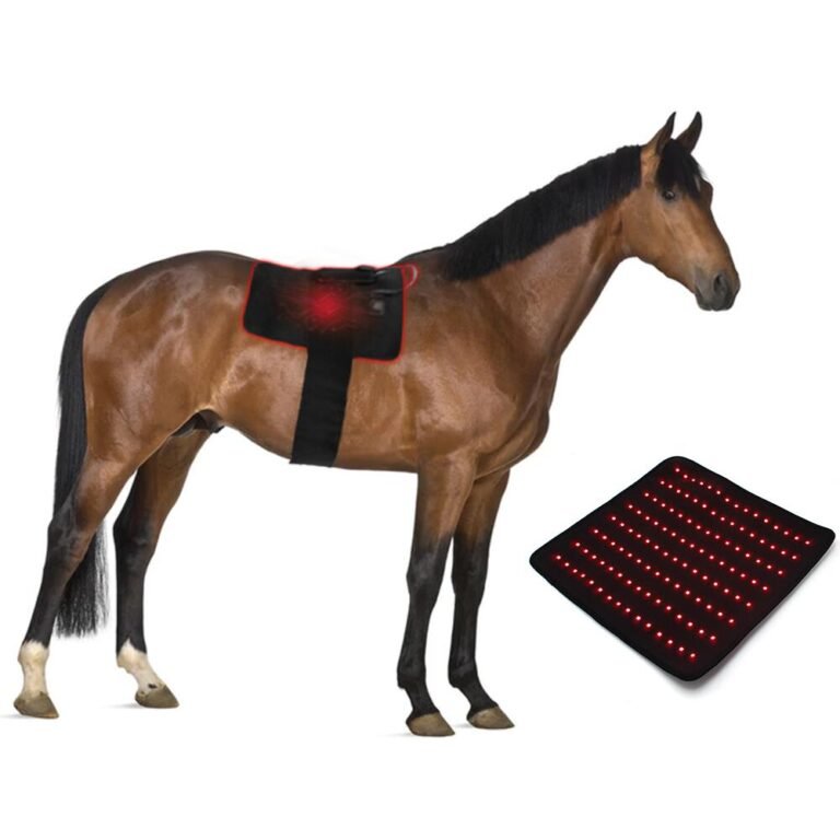 Flexible Horse Red Light Therapy Pad For Equine Recovery And Wellness - PT002
