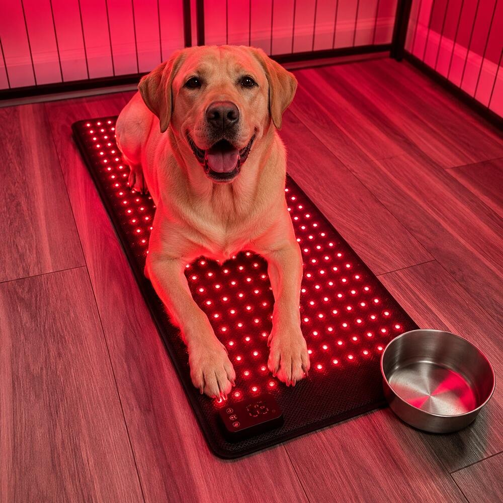 Pet Red Light Therapy Mats