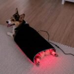 Red Light Therapy Mat For Dogs