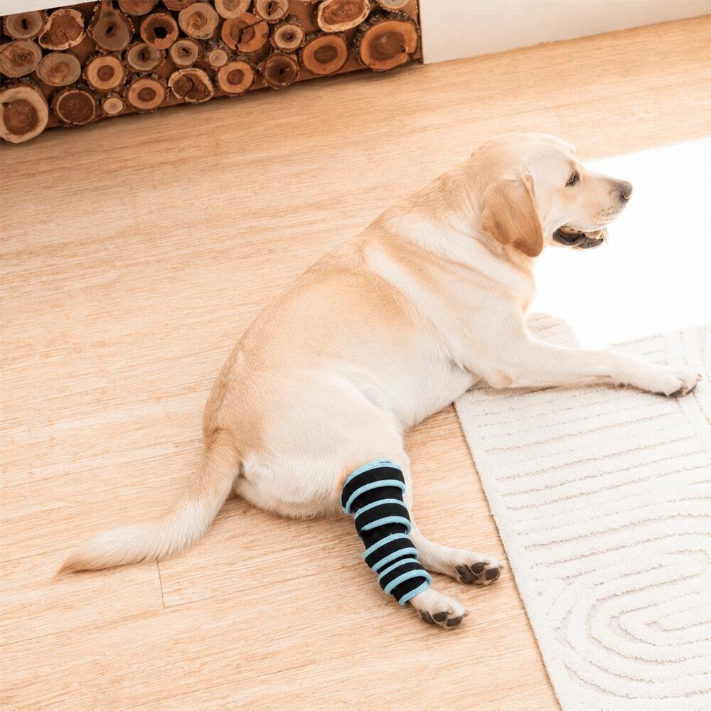 Red Light Therapy Leg Strap For Dogs