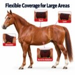 Equine Red Light Wrap Placement Guide-9