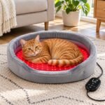 Orange Tabby Relaxing in Red Light Bed-4
