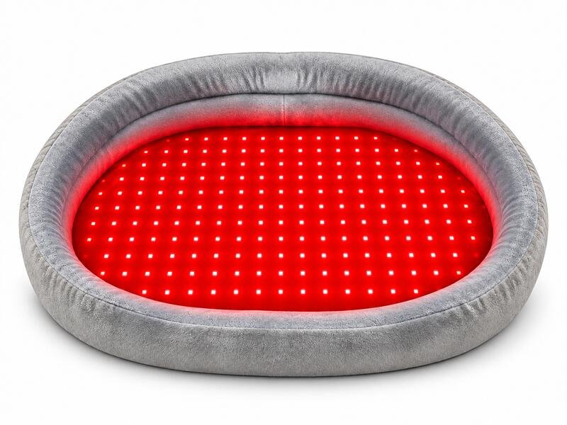 PT006-red-light-therapy-pet-bed-featured